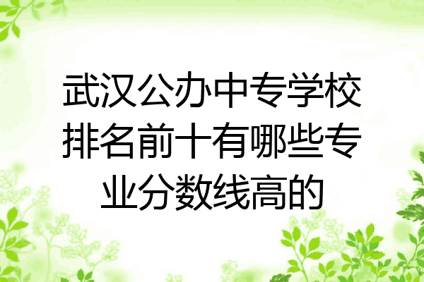 武汉公办中专学校排名前十有哪些专业分数线高的