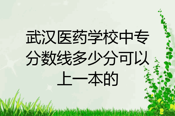 武汉医药学校中专分数线多少分可以上一本的