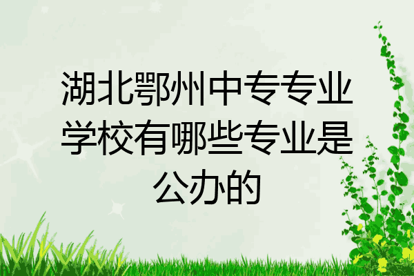 湖北鄂州中专专业学校有哪些专业是公办的