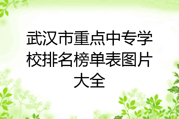 武汉市重点中专学校排名榜单表图片大全