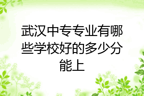 武汉中专专业有哪些学校好的多少分能上
