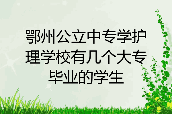 鄂州公立中专学护理学校有几个大专毕业的学生