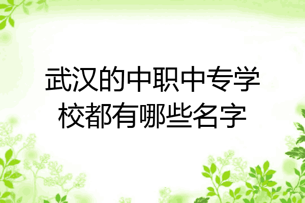 武汉的中职中专学校都有哪些名字