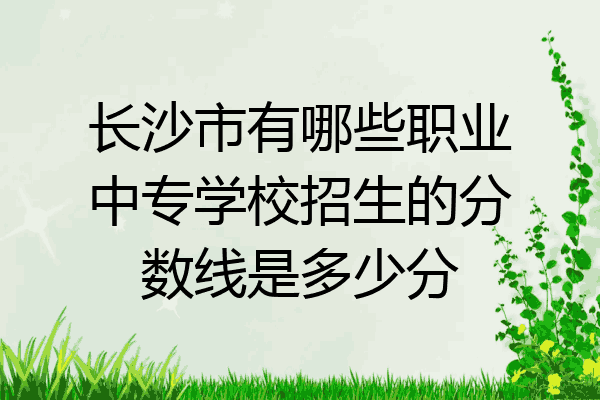 长沙市有哪些职业中专学校招生的分数线是多少分