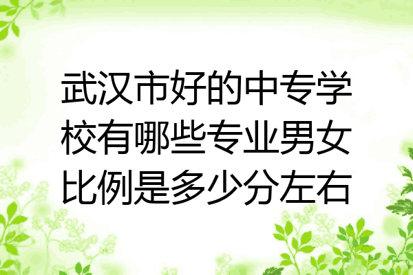 武汉市好的中专学校有哪些专业男女比例是多少分左右