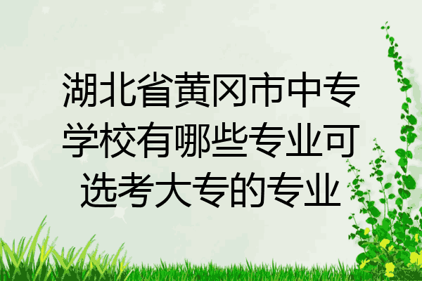 湖北省黄冈市中专学校有哪些专业可选考大专的专业