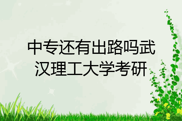 中专还有出路吗武汉理工大学考研