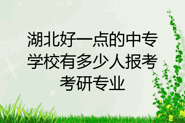 湖北好一点的中专学校有多少人报考考研专业