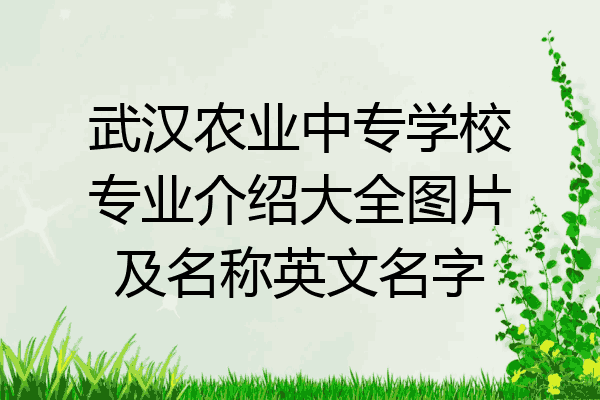 武汉农业中专学校专业介绍大全图片及名称英文名字