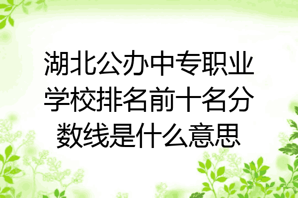 湖北公办中专职业学校排名前十名分数线是什么意思