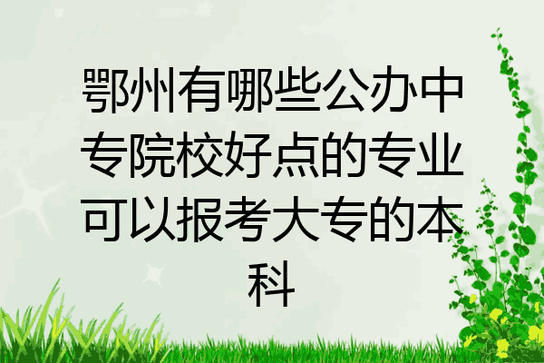 鄂州有哪些公办中专院校好点的专业可以报考大专的本科