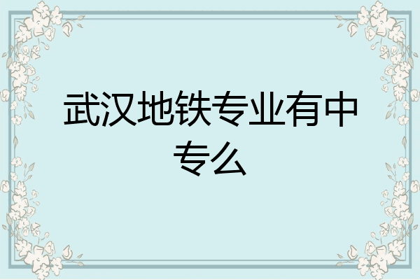 武汉地铁专业有中专么