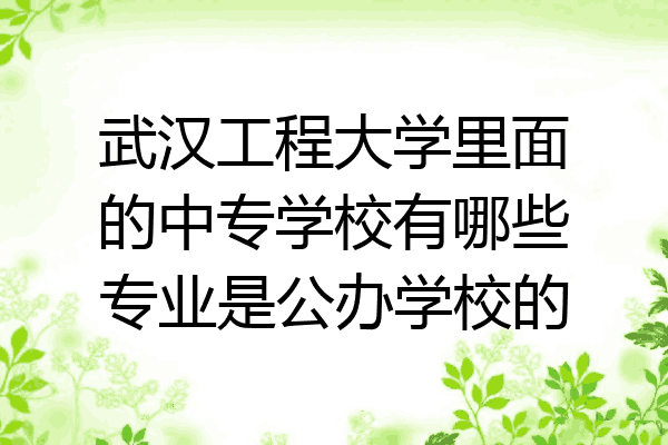 武汉工程大学里面的中专学校有哪些专业是公办学校的