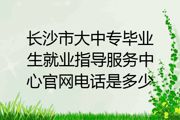 长沙市大中专毕业生就业指导服务中心官网电话是多少