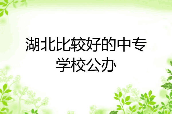 湖北比较好的中专学校公办