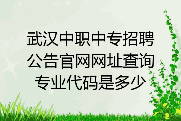 武汉中职中专招聘公告官网网址查询专业代码是多少
