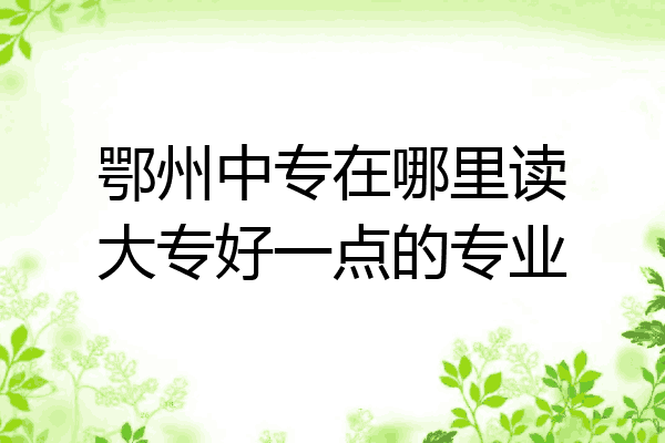 鄂州中专在哪里读大专好一点的专业