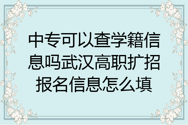 中专可以查学籍信息吗武汉高职扩招报名信息怎么填