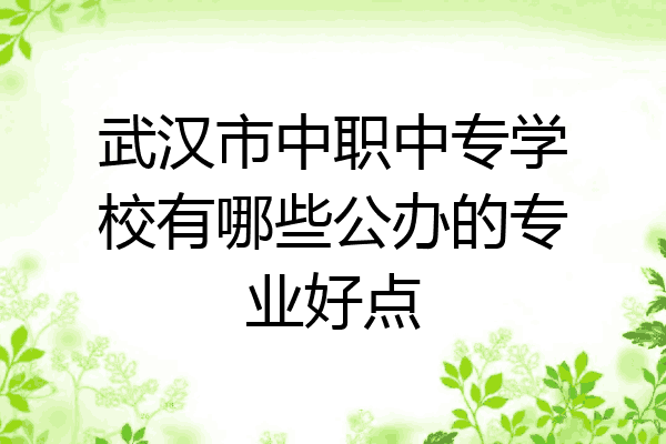 武汉市中职中专学校有哪些公办的专业好点