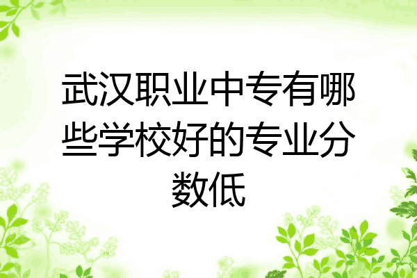 武汉职业中专有哪些学校好的专业分数低