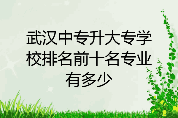 武汉中专升大专学校排名前十名专业有多少
