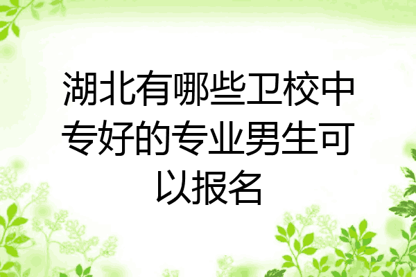 湖北有哪些卫校中专好的专业男生可以报名