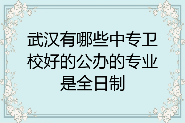 武汉有哪些中专卫校好的公办的专业是全日制