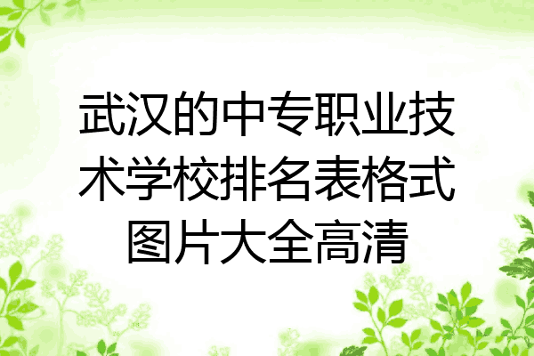 武汉的中专职业技术学校排名表格式图片大全高清