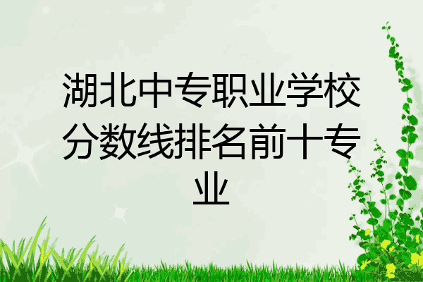 湖北中专职业学校分数线排名前十专业