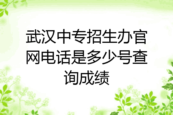 武汉中专招生办官网电话是多少号查询成绩