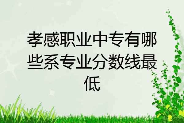 孝感职业中专有哪些系专业分数线最低