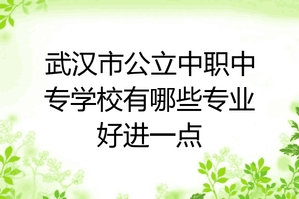 武汉市公立中职中专学校有哪些专业好进一点