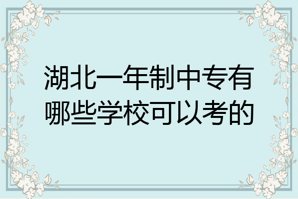 湖北一年制中专有哪些学校可以考的