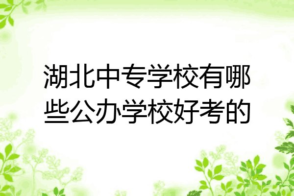 湖北中专学校有哪些公办学校好考的