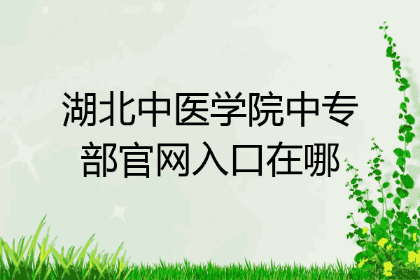 湖北中医学院中专部官网入口在哪