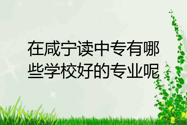 在咸宁读中专有哪些学校好的专业呢