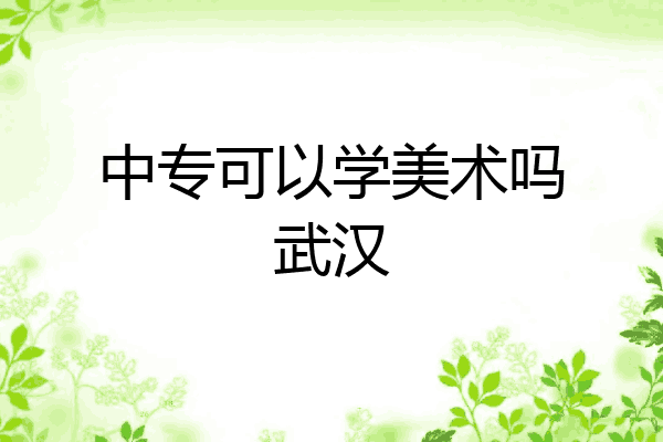 中专可以学美术吗武汉