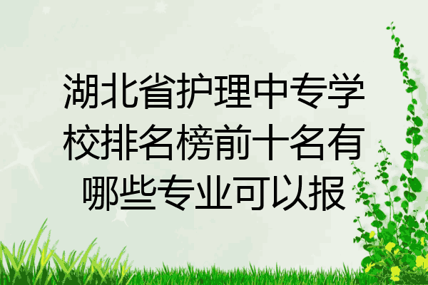 湖北省护理中专学校排名榜前十名有哪些专业可以报
