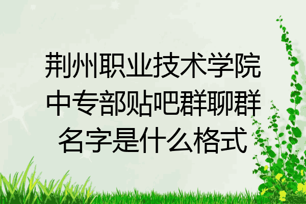 荆州职业技术学院中专部贴吧群聊群名字是什么格式