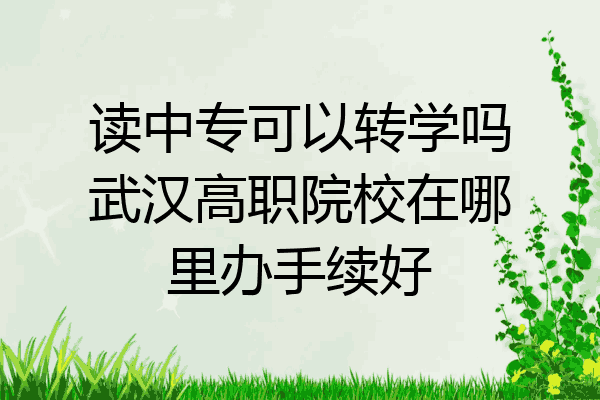 读中专可以转学吗武汉高职院校在哪里办手续好
