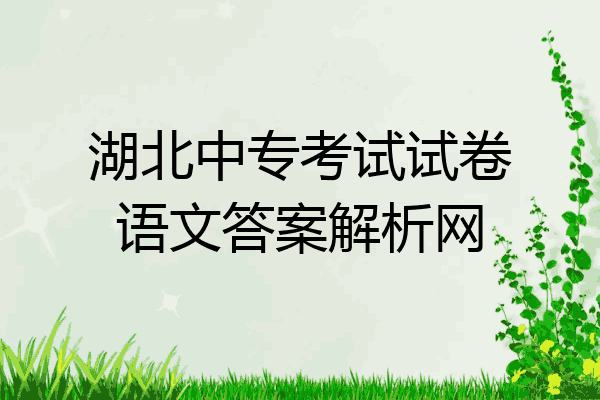 湖北中专考试试卷语文答案解析网
