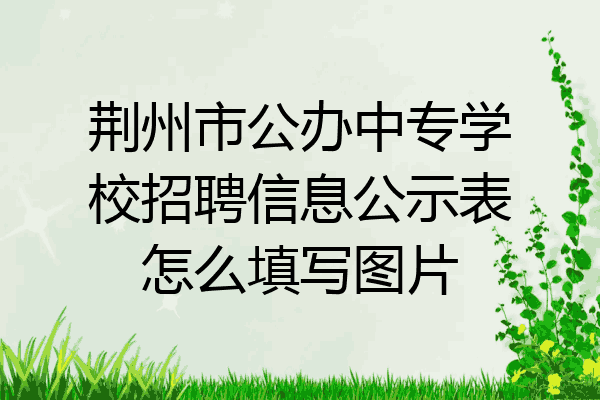 荆州市公办中专学校招聘信息公示表怎么填写图片