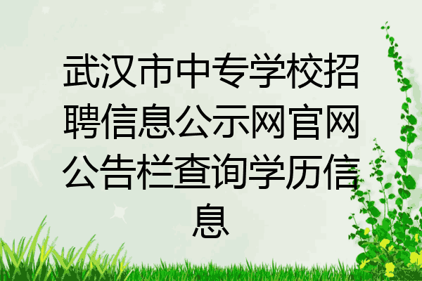 武汉市中专学校招聘信息公示网官网公告栏查询学历信息