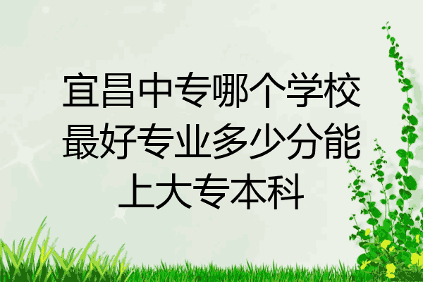 宜昌中专哪个学校最好专业多少分能上大专本科
