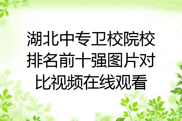 湖北中专卫校院校排名前十强图片对比视频在线观看