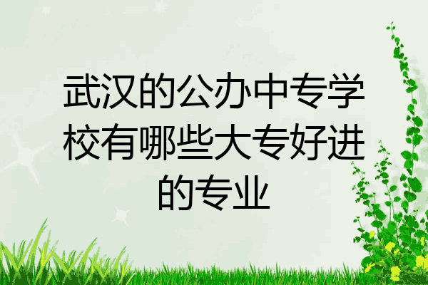 武汉的公办中专学校有哪些大专好进的专业