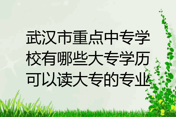 武汉市重点中专学校有哪些大专学历可以读大专的专业