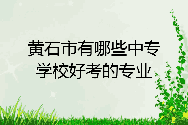 黄石市有哪些中专学校好考的专业