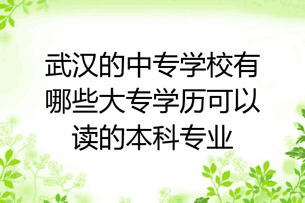 武汉的中专学校有哪些大专学历可以读的本科专业