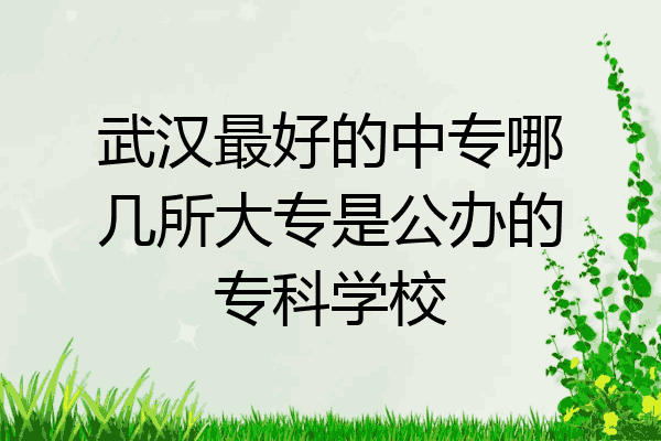 武汉最好的中专哪几所大专是公办的专科学校